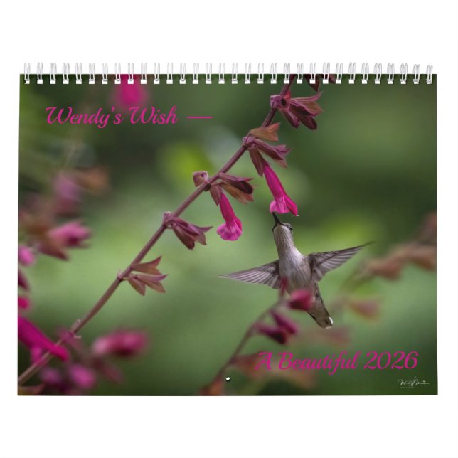 Calendário Médio de 18 Meses com o Desejo de Wendy (Capa)
