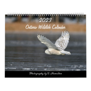 Calendário médio de duas páginas, branco