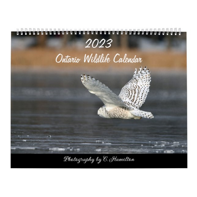 Calendário médio de duas páginas, branco (Capa)