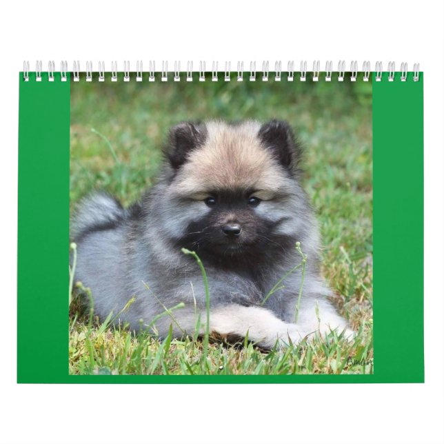 Calendário médio de duas páginas, branco (Capa)