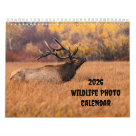 Calendário Médio de Duas Páginas da Foto Wildlife