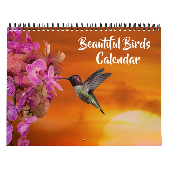 Calendário Medium Size Beautiful Birds Calendar (Capa)