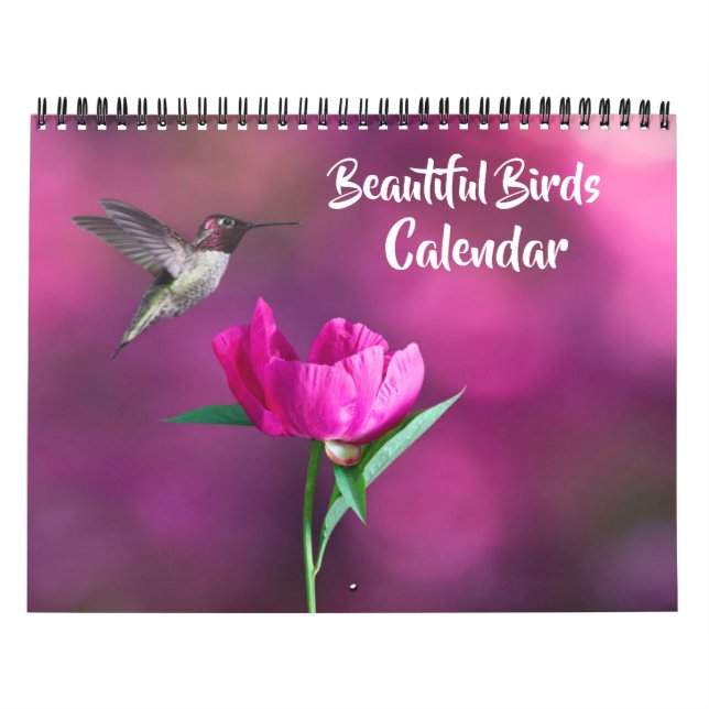 Calendário Medium Size Beautiful Birds Calendar (Capa)