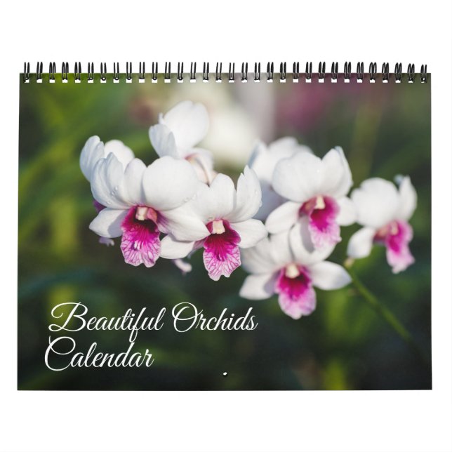 Calendário Medium Size Orchids Calendar (Capa)