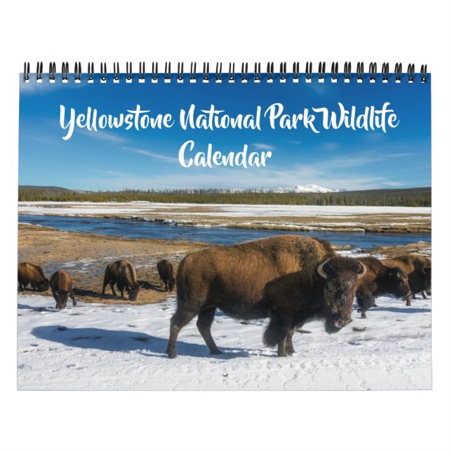 Calendário Medium Size Yellowstone Calendar-Wildlife Calendar (Capa)