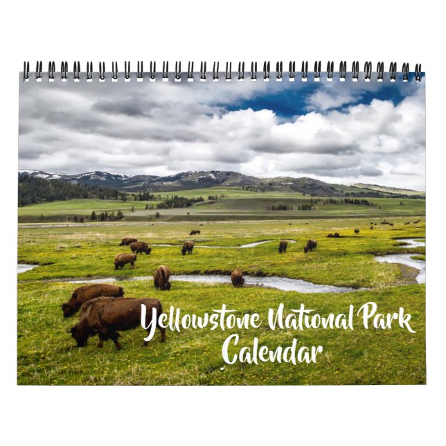 Calendário Medium Yellowstone Park Calendar (Capa)