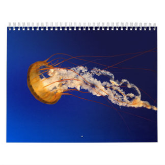 Calendário Medusa