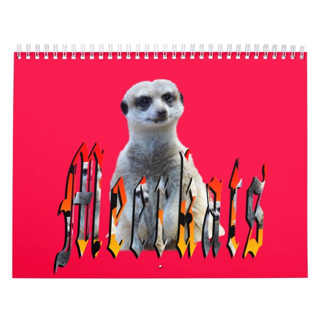 Calendário Meerkat with Style USA Holidays 2019, (Capa)