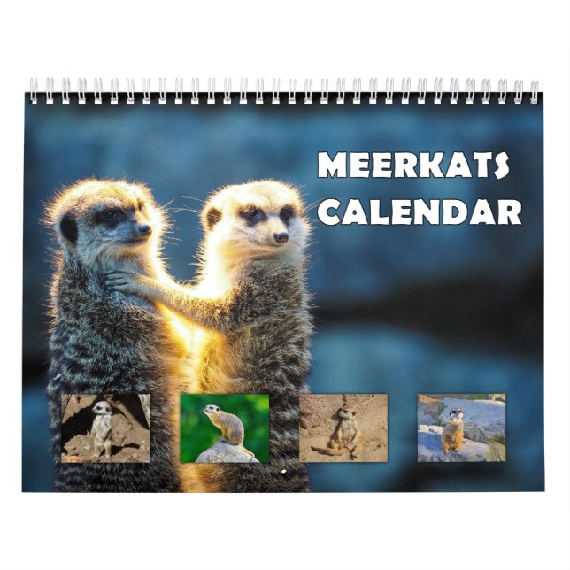 Calendário Meerkats (Capa)