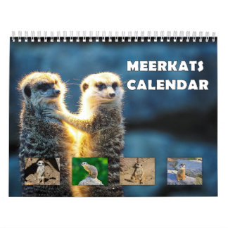 Calendário Meerkats