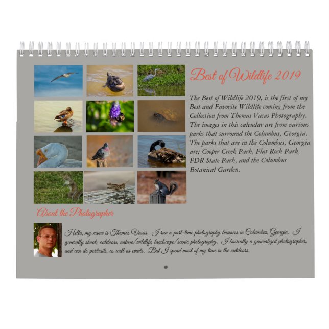 Calendário Melhor dos animais selvagens 2019 (Verso)