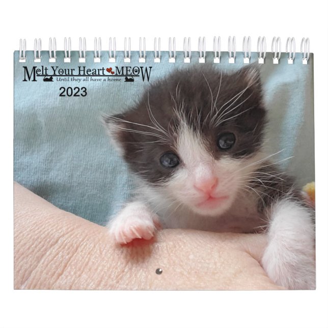 Calendário Melt Your Heart - MEOW 2023 Kitten Calendar (Capa)