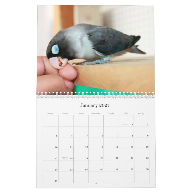 Calendário Memória Pocky do doce do lovebird (Jan 2027)