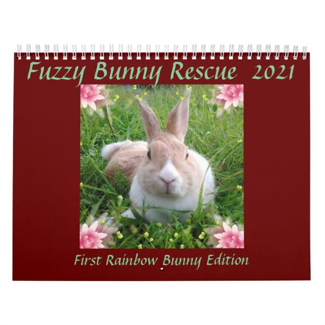 Calendário Memorial do Rainbow Bunny 2021 (Capa)