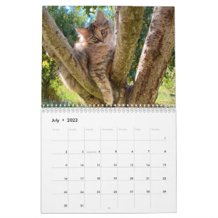 Calendário Mensal de Gato de Parede 2024