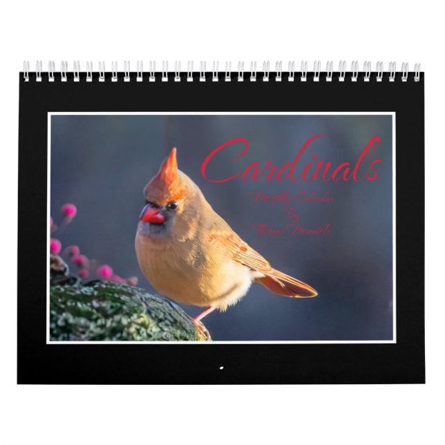 Calendário Mensal dos Cardinals (Capa)