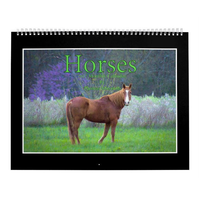 Calendário mensal dos cavalos 2017 por Thomas (Capa)