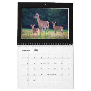 Calendário Mensal In The Wild Por Tom MIinutolo