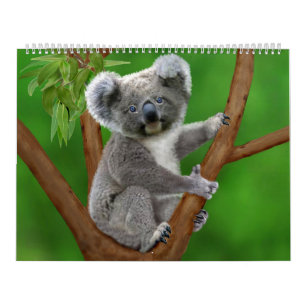 Calendário Mensal Mais Fofo da Natureza