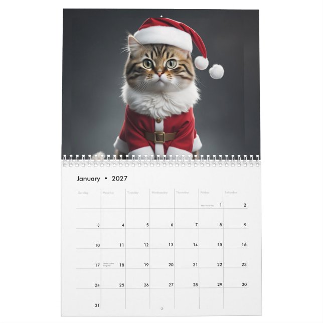 Calendário Meowy (Jan 2027)