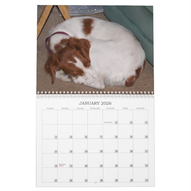 Calendário Meu Brittanys 2011 (Jan 2026)