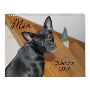 Calendário Mia Chihuahua Dog 2024