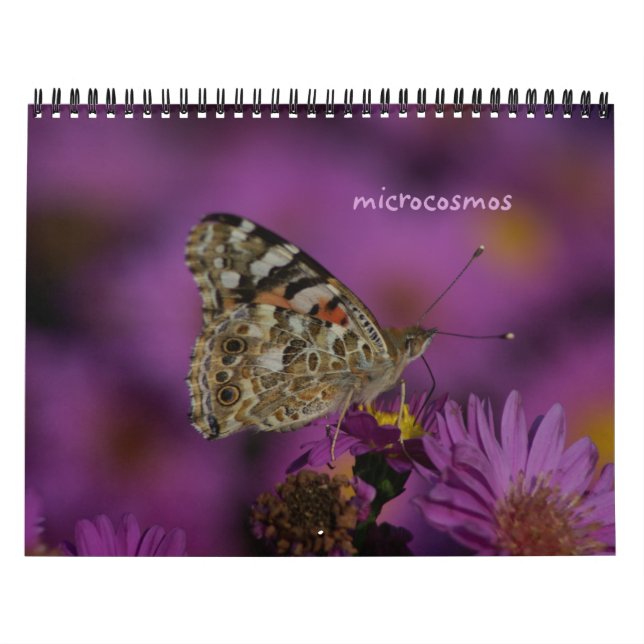 Calendário microcosmos (Capa)