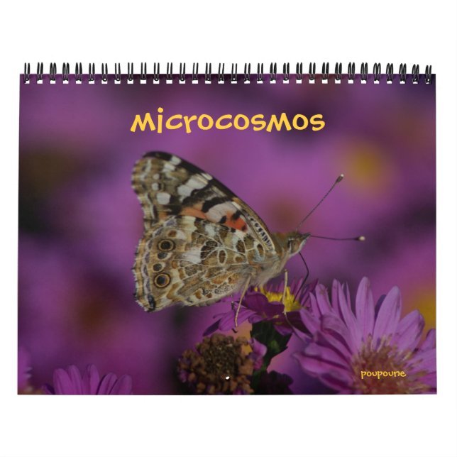 Calendário microcosmos (Capa)