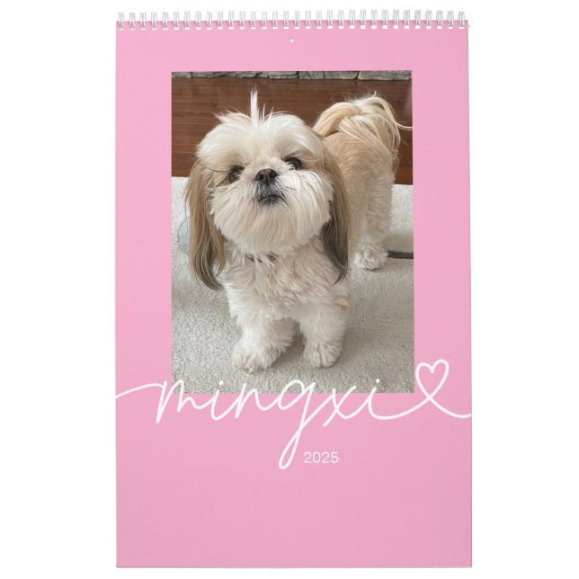 Calendário Mingxi 2025 (Capa)