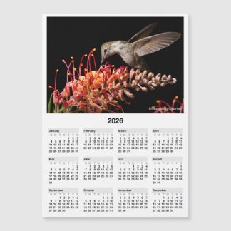 Calendário Mini Magnético 5x7" Beija-flor 2026