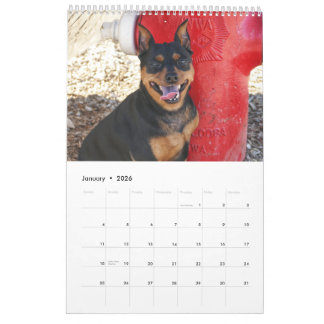 Calendário Miniature Pinscher One