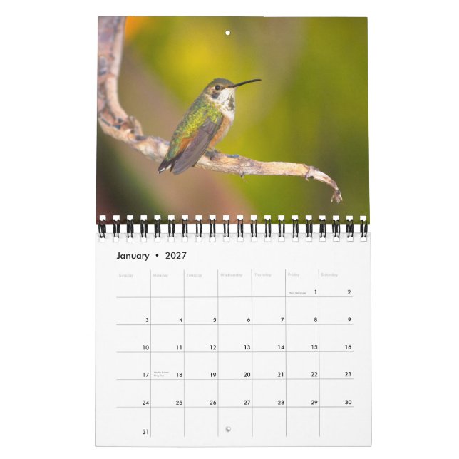 Calendário Mistura variada (Jan 2027)