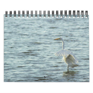 Calendário Mistura variada