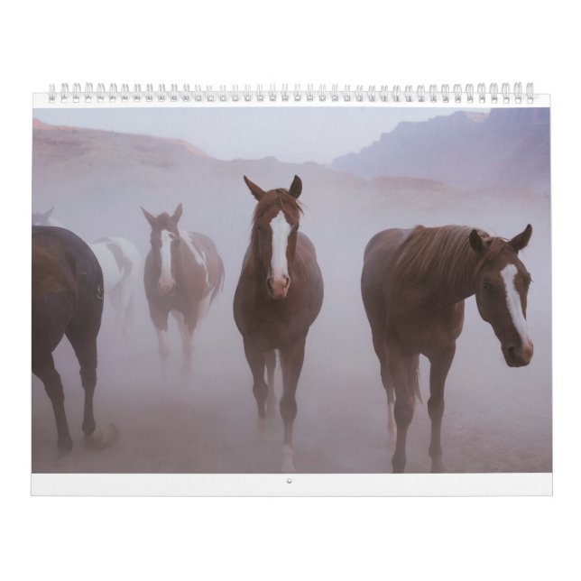 Calendário Moab Horses (Capa)