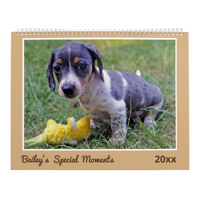 Calendário Modern Cute Dachshund Custom Pet Photos  (Capa)