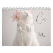 Modern Cute Funny Pet Cat Photos