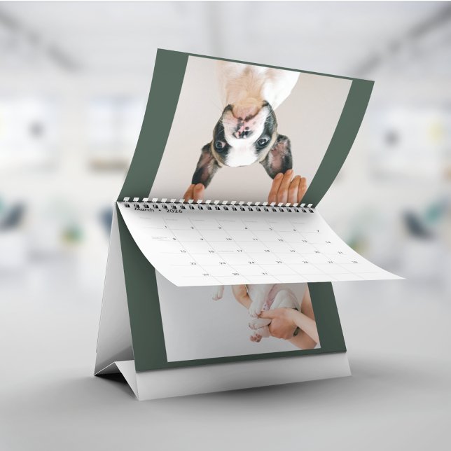 Calendário Modern Green Scrapbook Pet Photo  (Criador carregado)