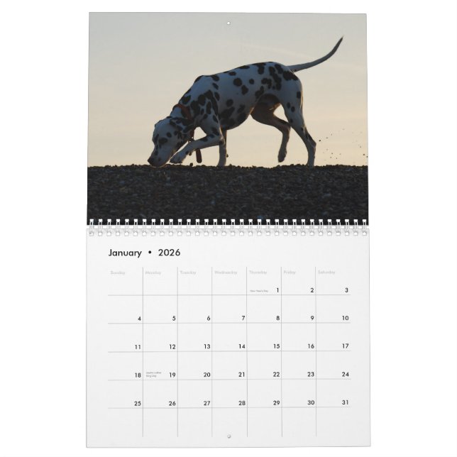 Calendário molo 2010 (Jan 2026)