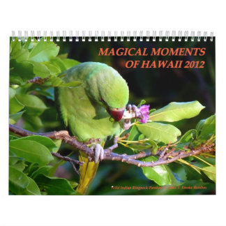 Calendário Momentos mágicos de Havaí 2012