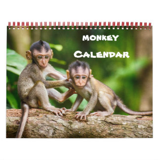 Calendário Monkey Primate Vine Bem-Vindo Para Casa Destino