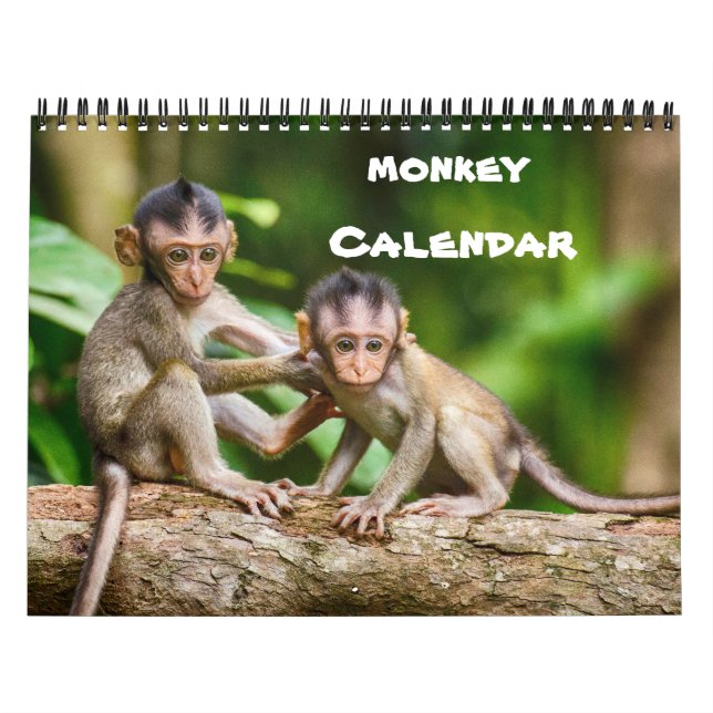 Calendário Monkey Primate Vine Bem-Vindo Para Casa Destino (Capa)