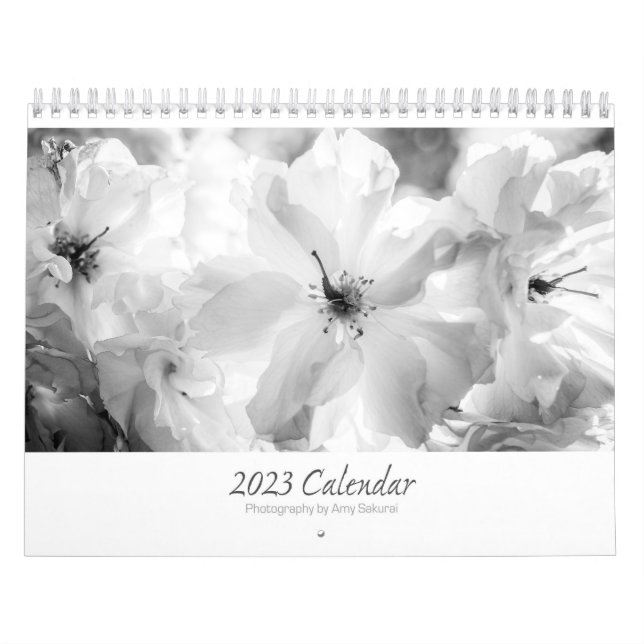 Calendário Monocromático 2023 de Amy (Capa)