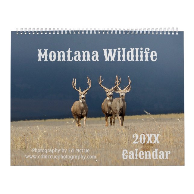 Calendário Montana Wildlife (Capa)