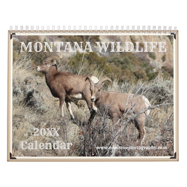 Calendário Montana Wildlife (Capa)