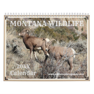 Calendário Montana Wildlife