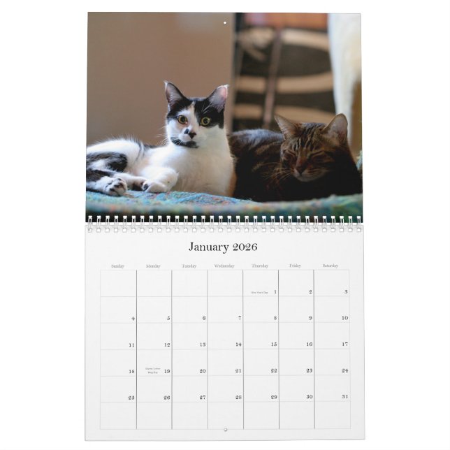 Calendário Mooki & Kiko 2009 (Jan 2026)