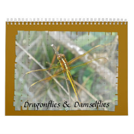 Calendário - Moscas e Damselflies