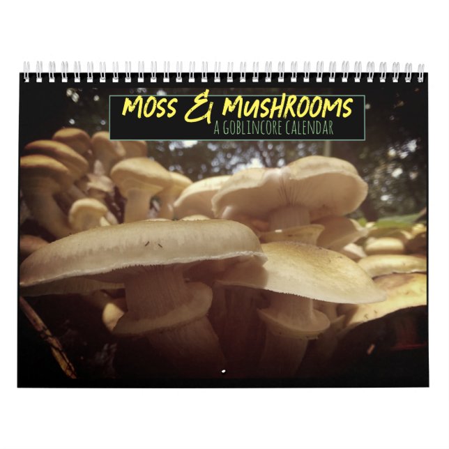 Calendário Moss e Cogumelos Goblincore (Capa)