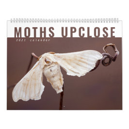 CALENDÁRIO MOTHS UPCLOSE 2021