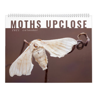 CALENDÁRIO MOTHS UPCLOSE 2021